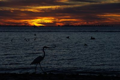 Scenic view of sea at sunset