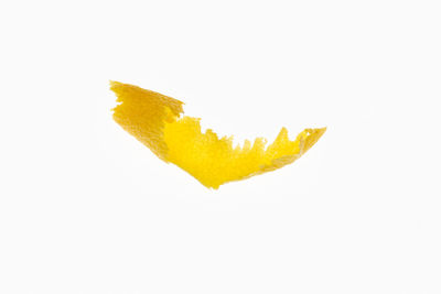 Close-up of yellow leaf against white background