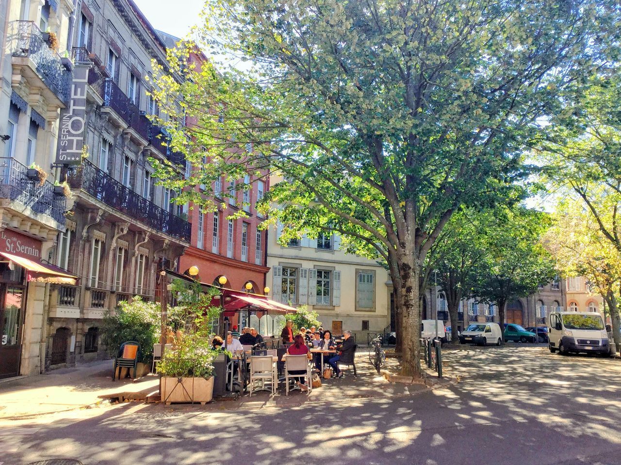 STREET BY TREES IN CITY