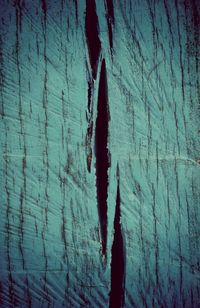 Close-up of tree against blue sky