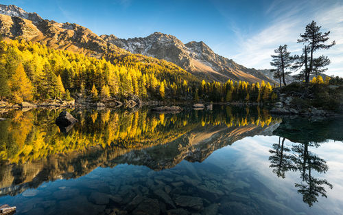 Scenic view of lake by trees against sky