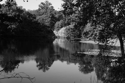 Scenic view of lake in forest against sky