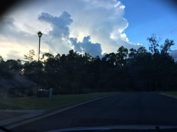 Silhouette of trees against cloudy sky