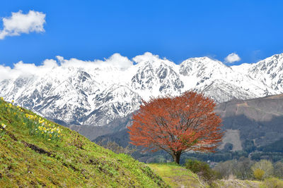 Scenic view of snowcapped mountains against sky