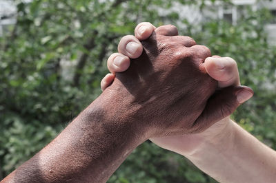 Close-up of hand holding plant against blurred background