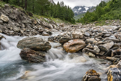 Scenic view of waterfall in forest