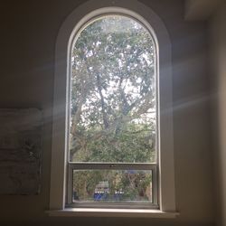 Trees seen through window