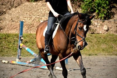 Low section of person riding brown horse on field