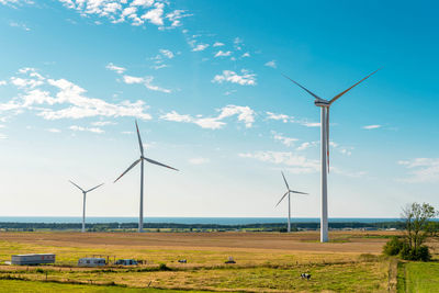 Wind farm with the baltic sea in the background. in the foreground, cows grazing in the meadow .