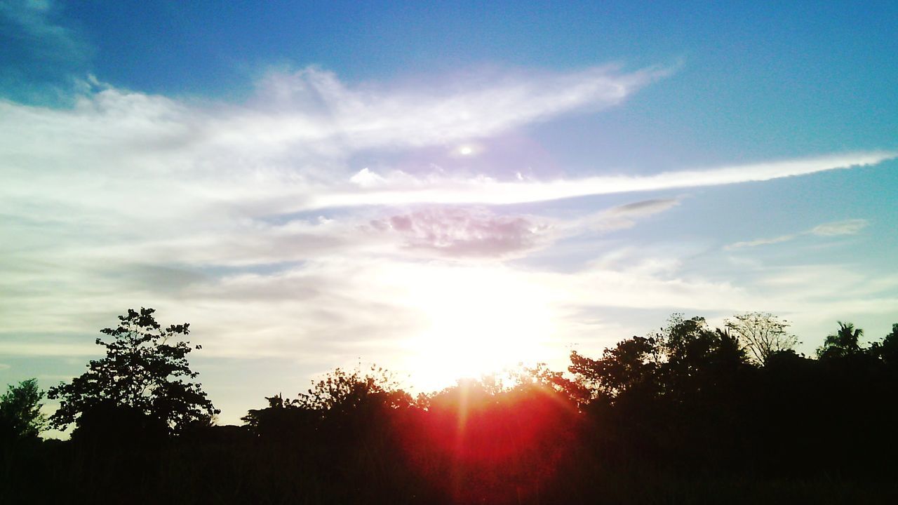 sun, silhouette, tree, sky, sunbeam, sunset, sunlight, beauty in nature, tranquility, scenics, tranquil scene, low angle view, cloud - sky, nature, lens flare, cloud, idyllic, back lit, growth, outdoors