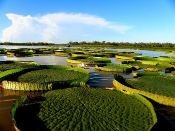Scenic view of lake against sky