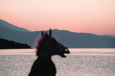 Silhouette mammal standing by sea against sky during sunset