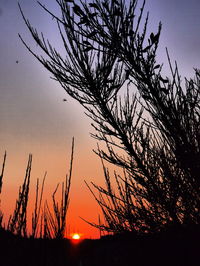 Low angle view of silhouette tree against sky during sunset