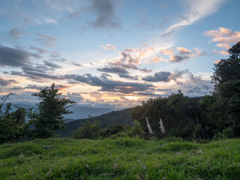 Scenic view of field against sky during sunset