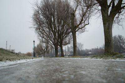 Empty road along bare trees