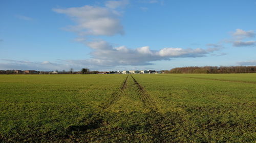 Scenic view of field against sky