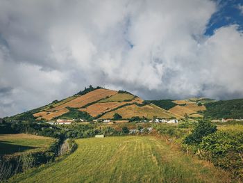 Scenic view of agricultural field against sky