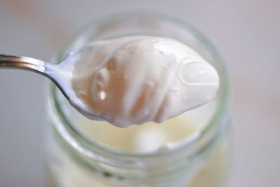 Close-up of yogurt on spoon