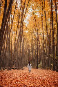 Girl standing by large trees in forest during autumn