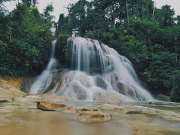 View of waterfall in forest