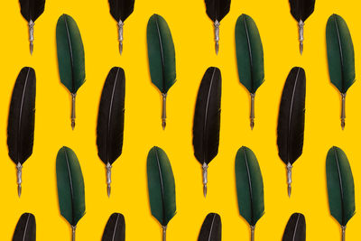 Close-up of quill pens against yellow background