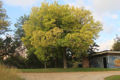 Built structure with trees in background