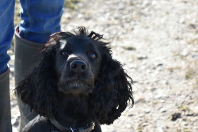 Portrait of person with dog standing outdoors