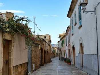 Narrow alley amidst buildings in town