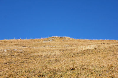 Scenic view of field against clear blue sky