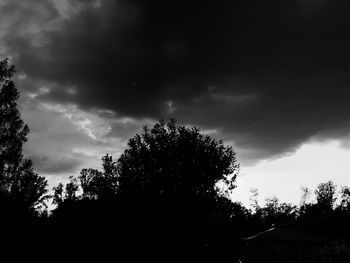 Low angle view of silhouette trees against sky