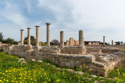 Ancient columns of apollon hylates, god of woodland, sanctuary in limassol district, cyprus