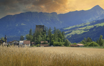 Scenic view of field against mountains