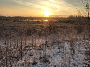 Scenic view of landscape against sky during sunset