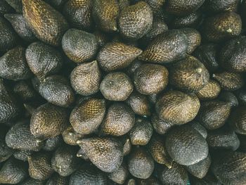 Full frame shot of blueberries