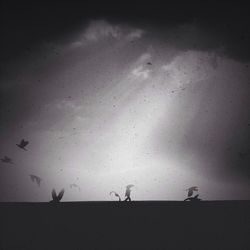 Low angle view of trees against sky