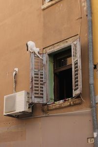 Low angle view of bird perching on old building