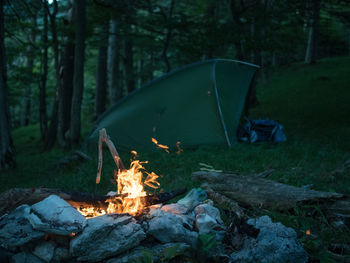 View of fire in the forest