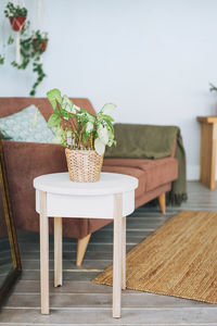 Green house plant in wicker pot on white table in cozy living room, scandinavian interior