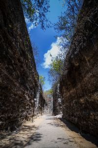 Empty road amidst trees against sky