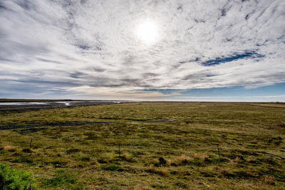 Scenic view of field against sky