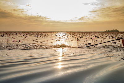 Scenic view of sea against sky during sunset