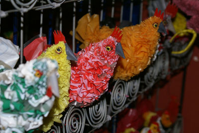 Close-up of birds for sale at market stall