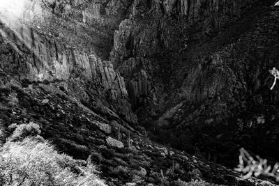 Scenic view of rock formation in forest