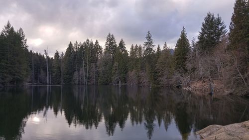 Reflection of trees in lake against sky