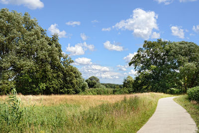 Trees on field against sky