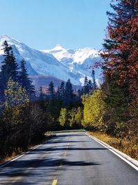 Road amidst trees and snowcapped mountains against sky