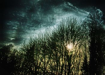 Low angle view of silhouette trees against sky