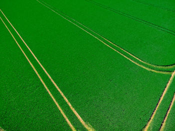 Full frame shot of green field