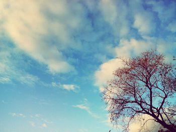 Low angle view of trees against cloudy sky