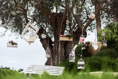 Panoramic shot of sculptures hanging on tree